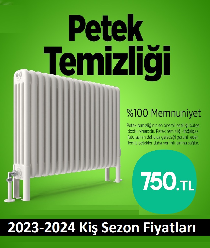 Gölcuk Petek Temizliği Tek Fiyat Teklifi Al